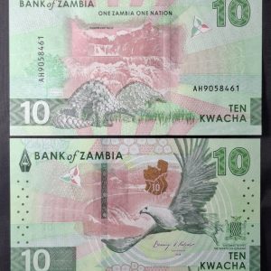 Zambia - 2024 - 10 Kwacha - Águila Pescadora - Unc