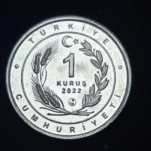 Turquía - 2022 - 1 Kurus - Leopardo - Níquel - Unc